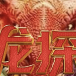 PG电子《寻龙探宝》：唤醒巨龙的传说，开启财富的奇幻冒险-博彩策略网-博彩技巧网-博彩论坛