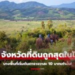 评估价仅10泰铢/平方哇？！泰国土地最便宜的是这10府...-博彩策略网-博彩技巧网-博彩论坛